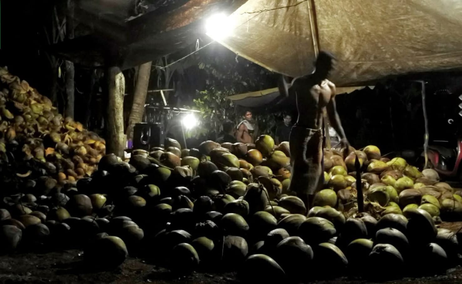 Manfaat VCO untuk Kesehatan